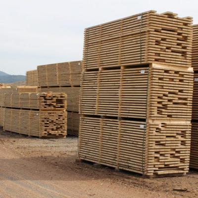 Importación y Exportación de Productos Forestales en Paraguay: Datos de Enero 2025